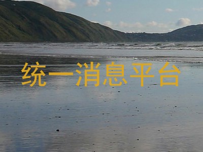 统一消息平台