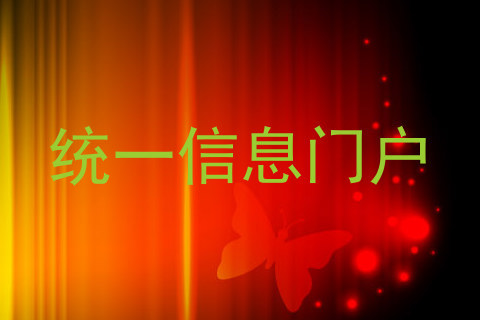 统一信息门户