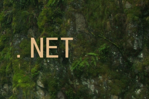 .NET