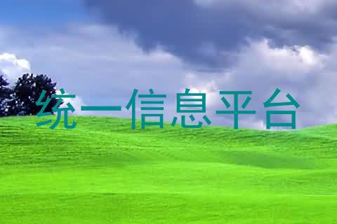统一信息平台