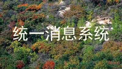 统一消息系统