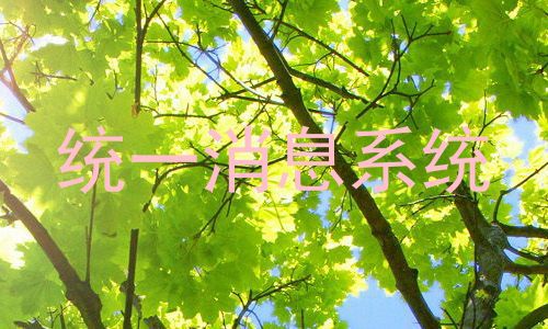 统一消息系统