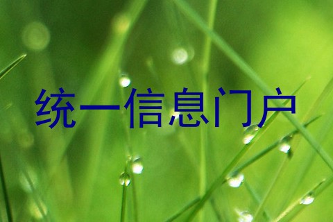统一信息门户