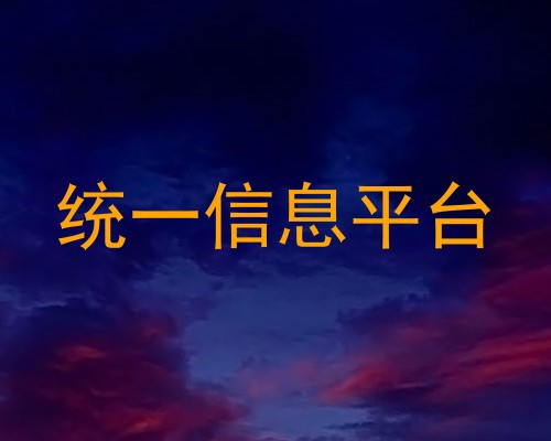 统一信息平台