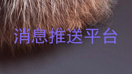 消息推送平台