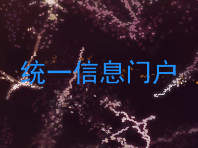 统一信息门户
