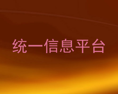 统一信息平台