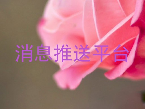 消息推送平台