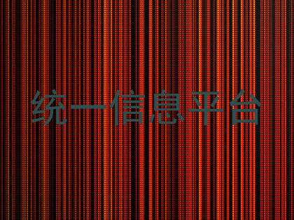 统一信息平台