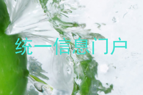 统一信息门户