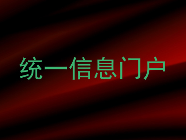 统一信息门户