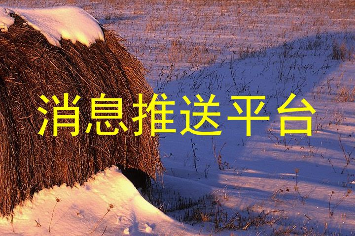 消息推送平台