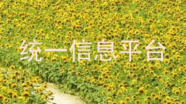 统一信息平台