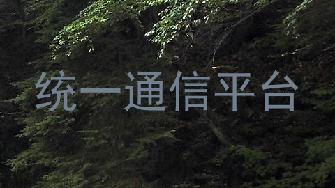 统一通信平台