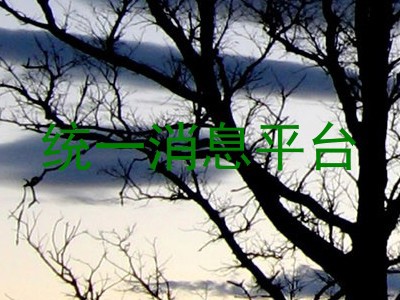 统一消息平台