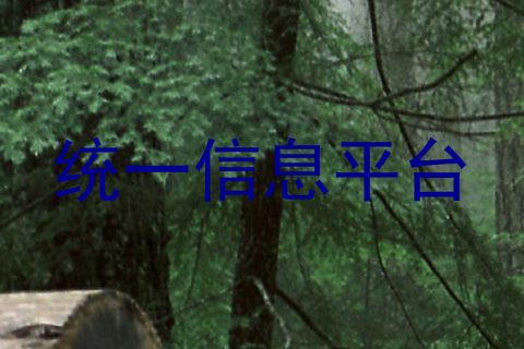 统一信息平台