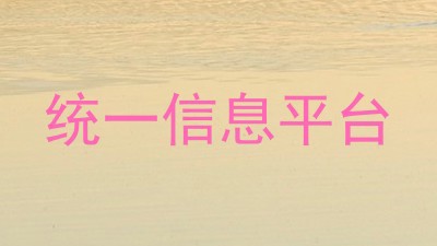 统一信息平台