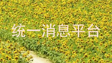 统一消息平台