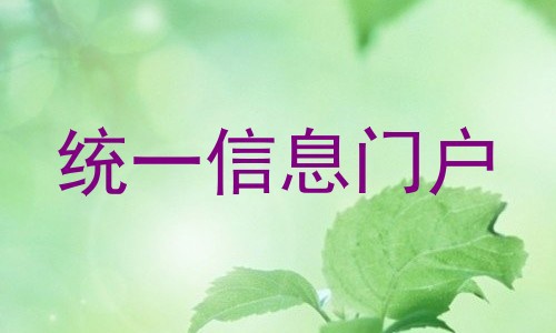 统一信息门户