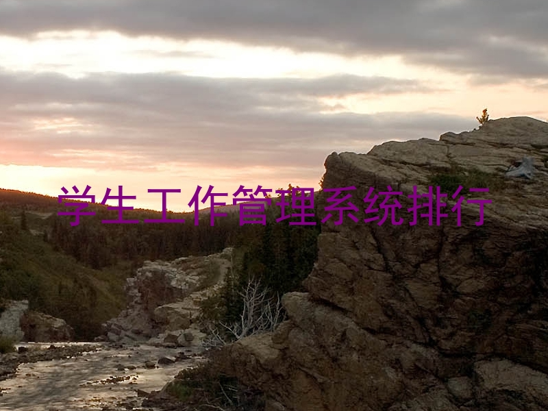 学生工作管理系统排行