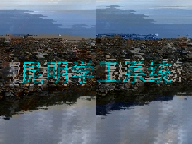 昆明学工系统