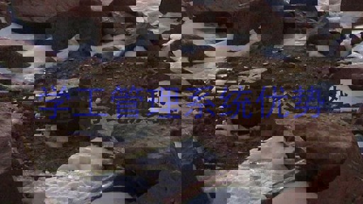 学工管理系统优势