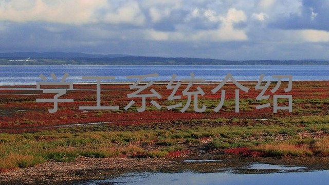 学工系统介绍