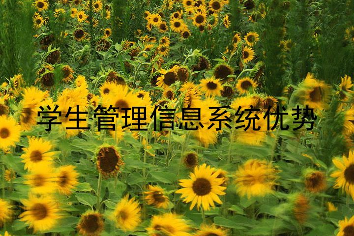 学生管理信息系统优势