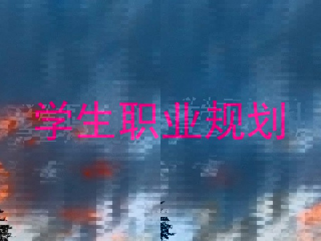学生职业规划