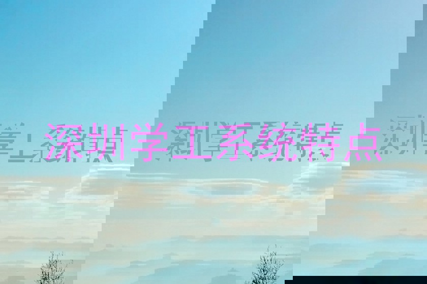 深圳学工系统特点