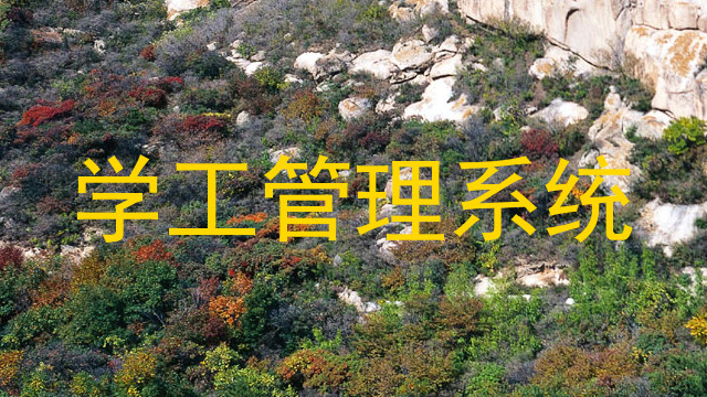 学工管理系统