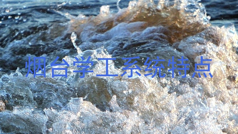 烟台学工系统特点