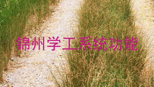 锦州学工系统功能