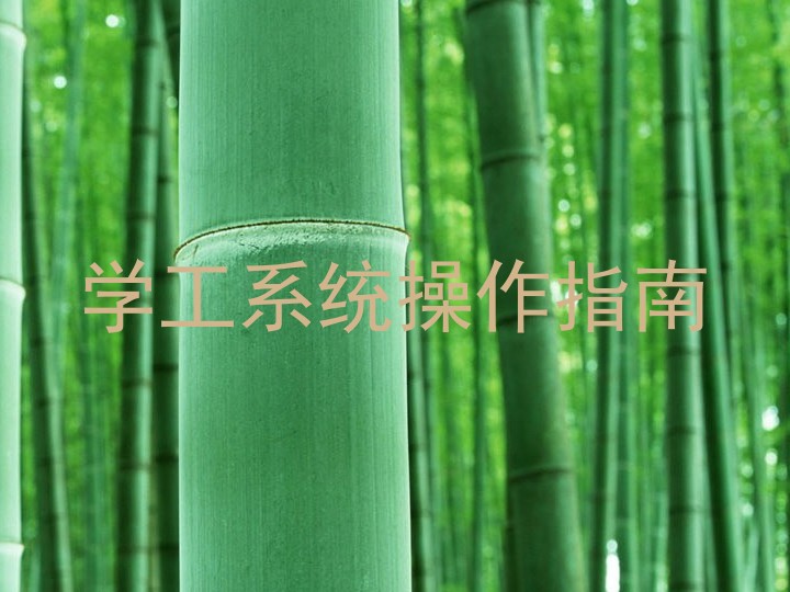 学工系统操作指南