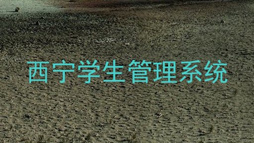 西宁学生管理系统