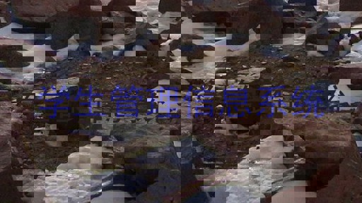 学生管理信息系统