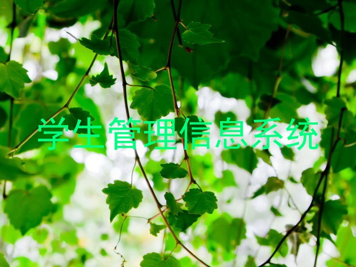 学生管理信息系统