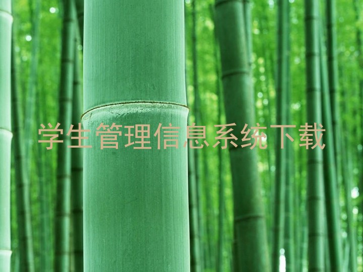 学生管理信息系统下载