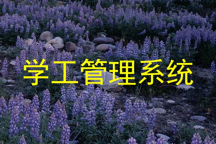 学工管理系统