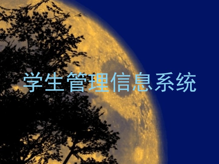 学生管理信息系统