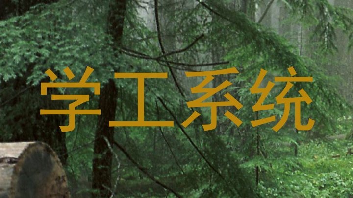 学工系统