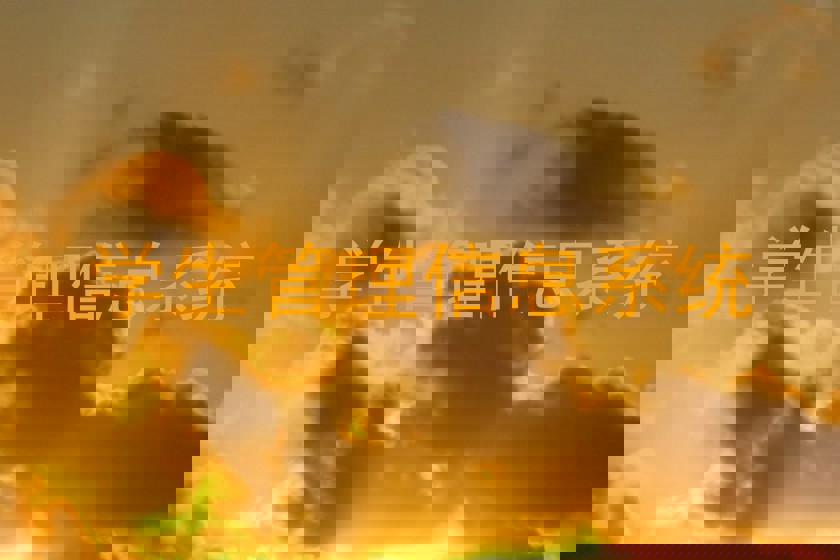 学生管理信息系统