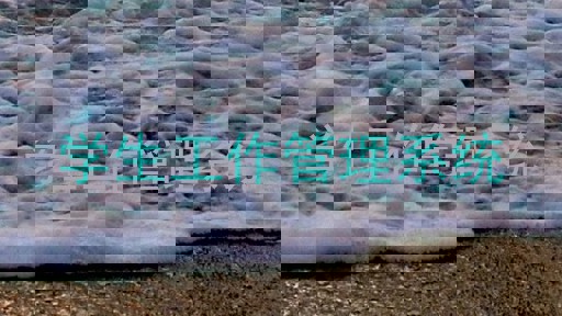 学生工作管理系统