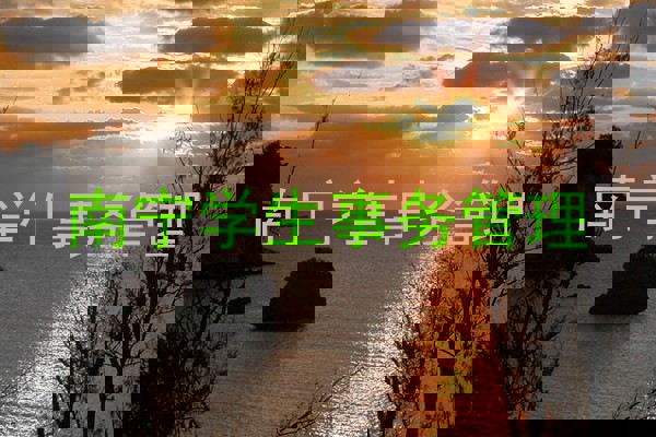 南宁学生事务管理