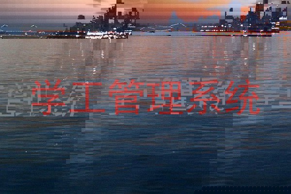 学工管理系统