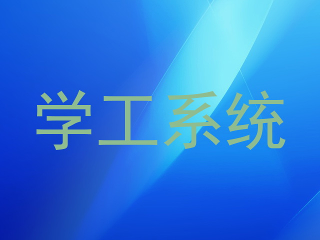 学工系统