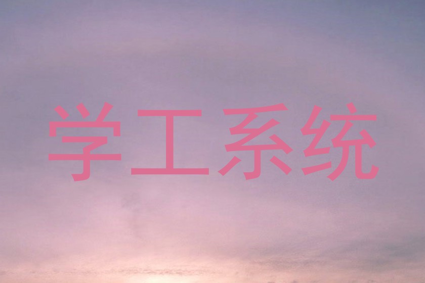 学工系统