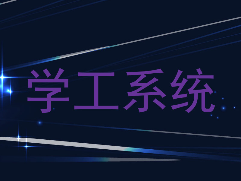 学工系统