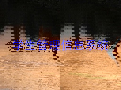 学生管理信息系统