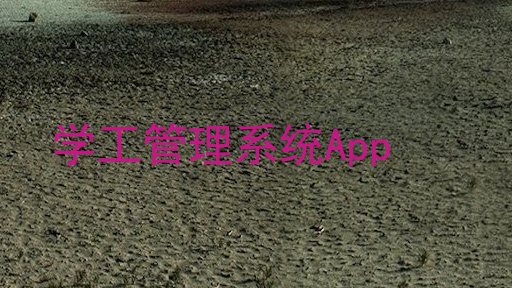 学工管理系统App
